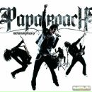 Фотография Анфимова Ивана