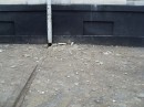 Іра Скатова фотография #38 (источник - https://vk.com/id8993081)