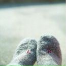 Гомер Сімпсон фотография #30 (источник - https://vk.com/id3158058)