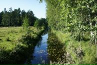 Сергей Д фотография #13 (источник - https://vk.com/id1361995)