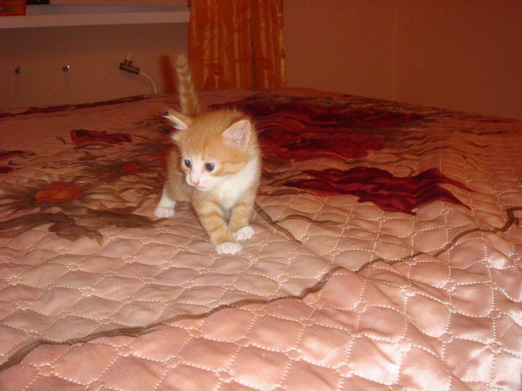 Оля Хапцова фотография #33