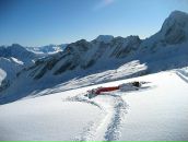 Фотография Вовченко Елены