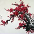 Фотография Суворовой Василисы