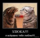 Фотография Храмцова Константина