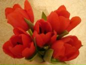 Фотография Сустатовой-Кашаевой Евгении