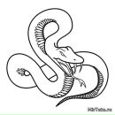 Сергій Захарків фотография #8 (источник - https://vk.com/id65182324)