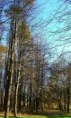 Фотография Силиной Елены