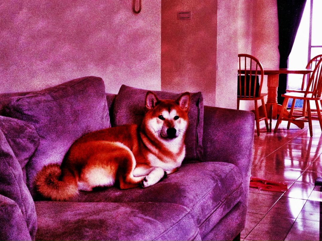 Сергей Чудодеев фотография #6