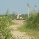 Фотография Алейников Дмитрия Igg