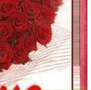 Ліля Гуцуляк фотография #23 (источник - https://vk.com/id97013032)