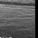 Натакент!!!_)))))))))))))) Ха!!!!!!!!!))))))))))) фотография #9 (источник - https://vk.com/id148146842)