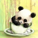 Фотография Донских Жени