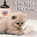 Ігорь Rebar фотография #48 (источник - https://vk.com/id153166857)
