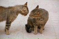 Фотография Агаповой Марины