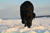 Фотография Мироновой Анастасии