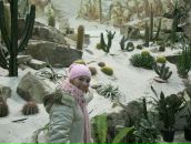 Фотография Прыгов Дмитрий