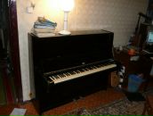 Фотография Тихонцева Глеба