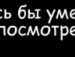 Сірожа Лисак фотография #11 (источник - https://vk.com/id135279952)