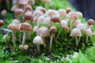 Михаил Яковлев фотография #12 (источник - https://vk.com/id2403530)