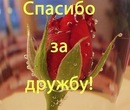 Вікторія Білінська фотография #3 (источник - https://vk.com/id143860276)