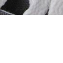 Даша Матинян фотография #17 (источник - https://vk.com/id34196743)