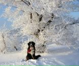 Фотография Гончарова Юлия