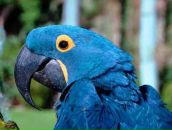 Марьяна Скворцова фотография #6 (источник - https://vk.com/id1885204)