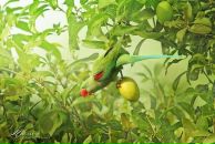 Фотография Киреевой Гузель