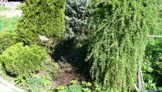 Рогнеда Степанова фотография #38 (источник - https://vk.com/id8756748)