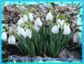 Надія Шпадик фотография #14 (источник - https://vk.com/id155860205)