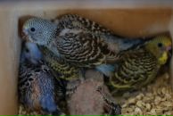 Евгений Кабин фотография #6 (источник - https://vk.com/id6736668)