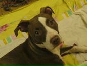 Фотография Кириллов Константин