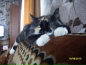 Фотография Семёновой Светланы