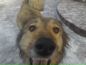 Андрей Арестов фотография #39 (источник - https://vk.com/id376718)