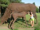 Фотография Коробецкой Ирины
