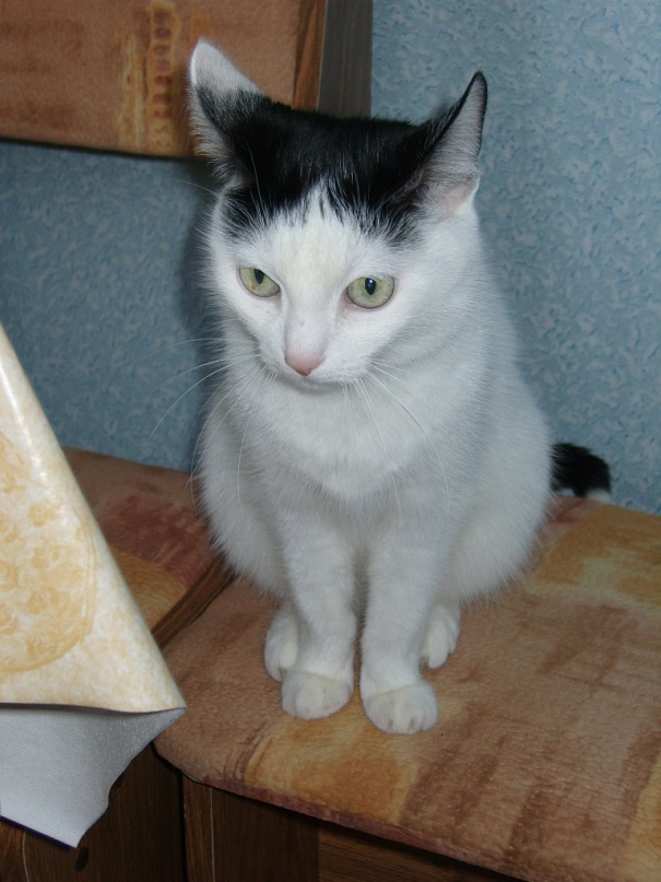 Ольга Хрулева фотография #32