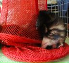 Фотография Солодовниковой Зинаиды