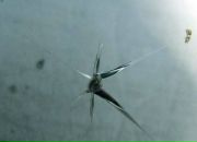 Юрій Каплій фотография #28 (источник - https://vk.com/id81231977)