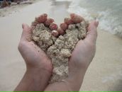 Фотография Богданов Эдуард