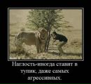 Фотография Литвиновой Татьяны