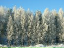 Фотография Григорьевой Елены