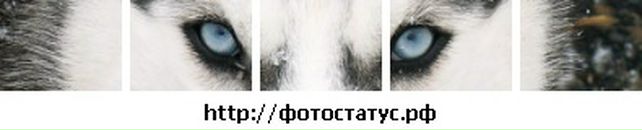 Иван Опарин фотография #40 (источник - https://vk.com/id200144)