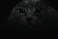 Фотография Мелехина Илии