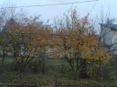 Вєталь Максимчук фотография #5 (источник - https://vk.com/id71324780)