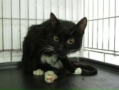 Фотография Трушиной Ирины