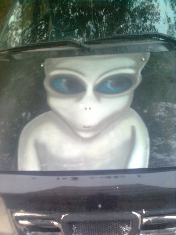 Дима Борисов фотография #28