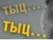 Настя Студзінська фотография #2 (источник - https://vk.com/id77719695)