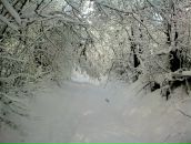 Іван Коваль фотография #21 (источник - https://vk.com/id50934328)