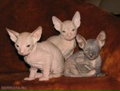 Фотография Кондратьевой Марины