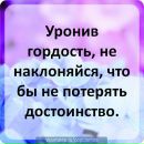 Фотография Степановой Светланы
